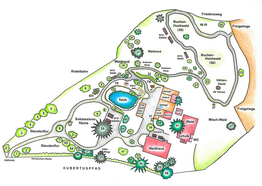 SDW Hofheim Plan des Waldgartens